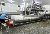 Surimi Việt Nam 2025: Bứt Phá Ngoạn Mục, Xuất Khẩu Tăng Trưởng Ấn Tượng Sau Thời Kỳ Lạm Phát